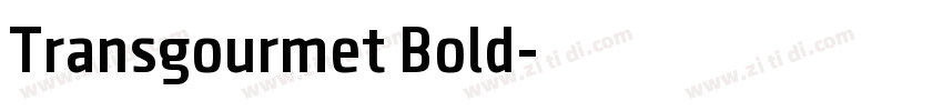 Transgourmet Bold字体转换